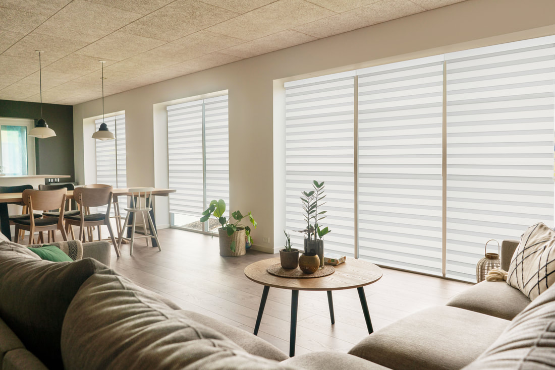Pro Design Dual Sheer Shades